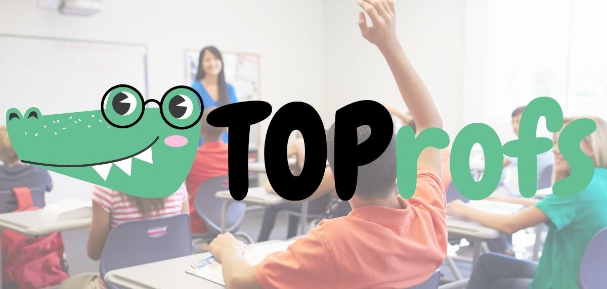 a teacher in scholar support lessons